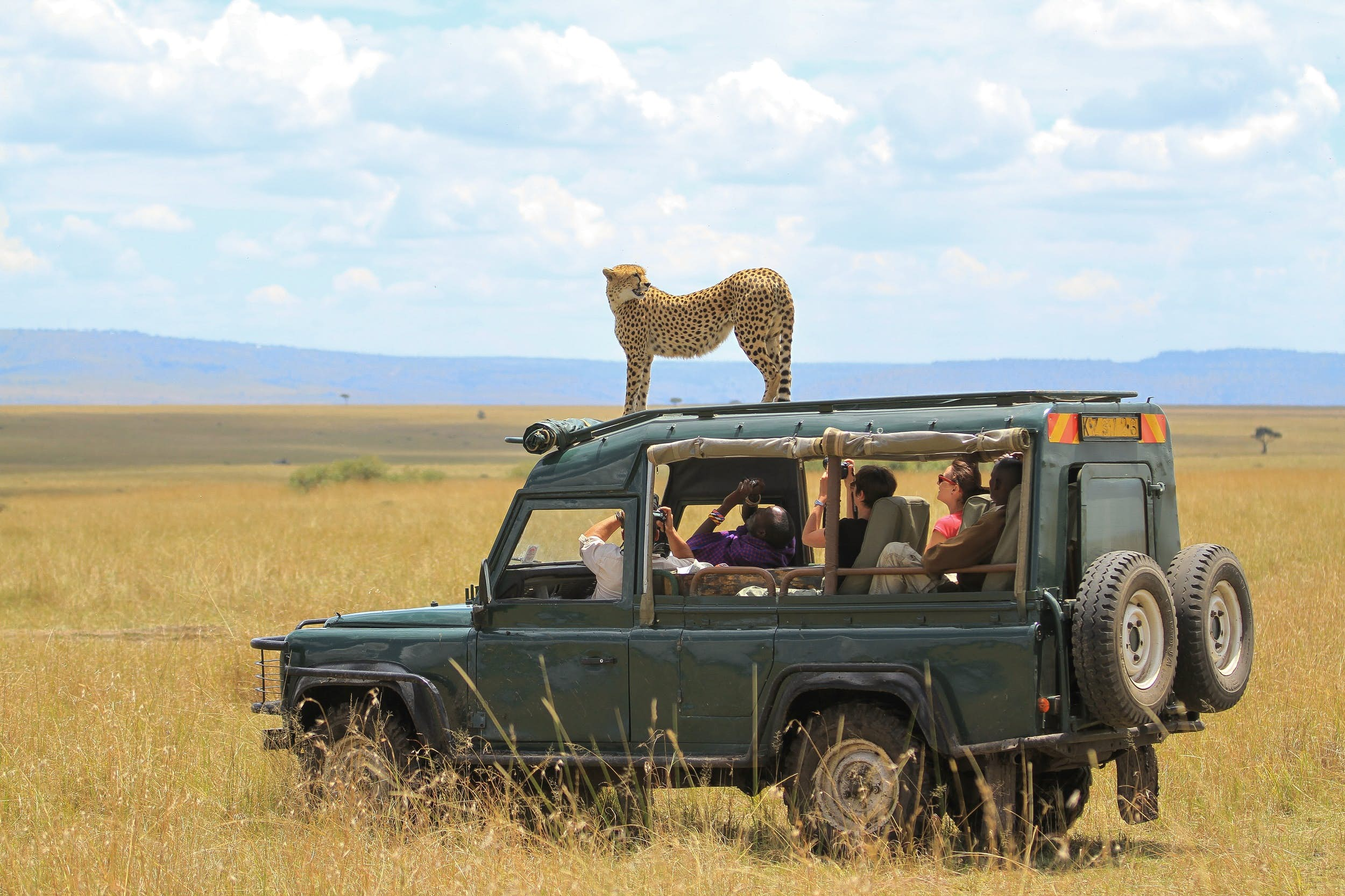 masai-mara-shutterstockRF_778811002